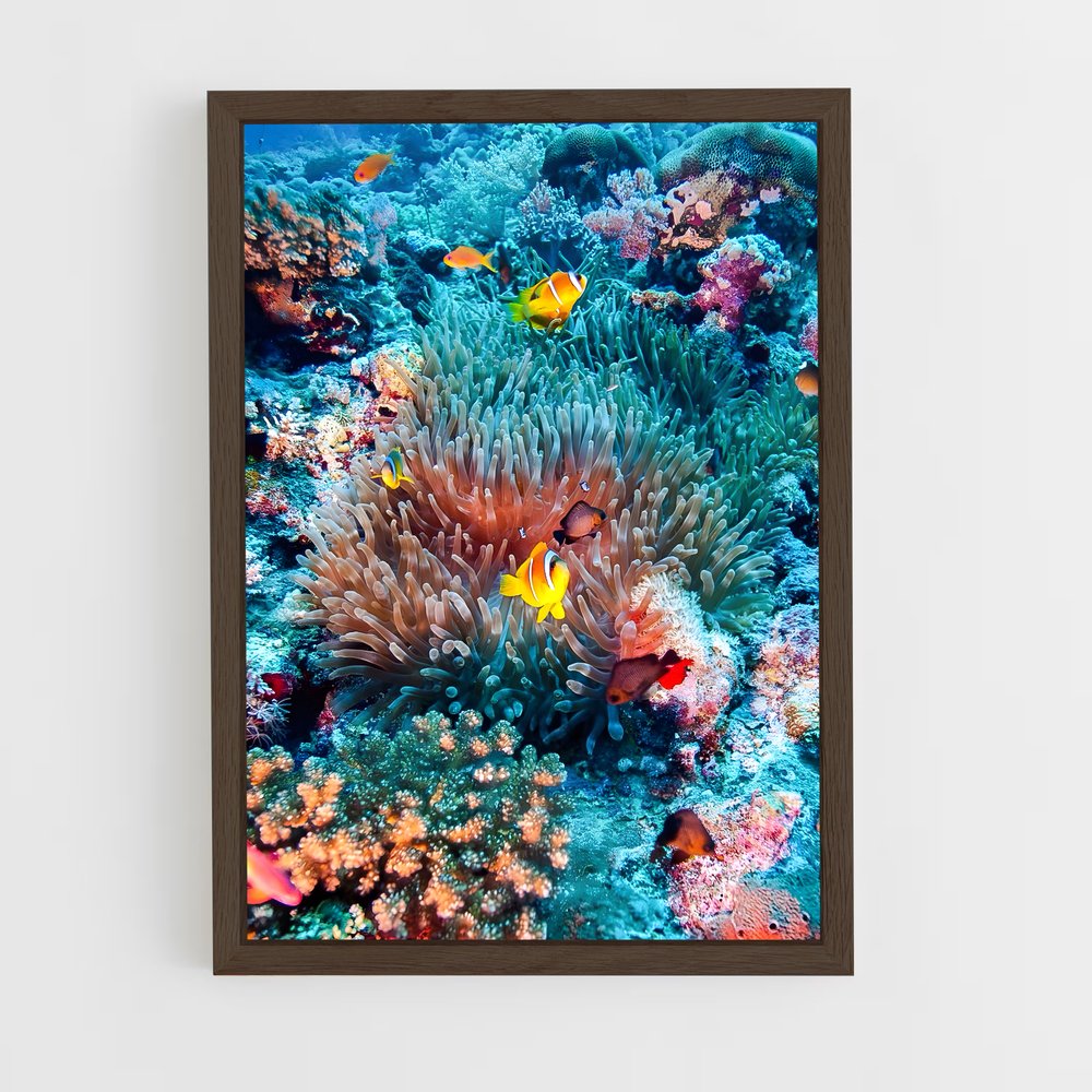 Poster Clown Paradise – affiche Plongée sous-marine (vue 5)